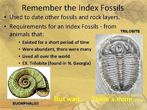 dating of fossils slideshare
